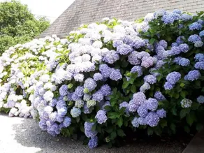 Blissful Holiday Home in Hénansal with Garden - Image 3