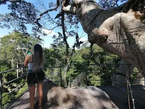 Monte Amazonico Lodge - Image 5