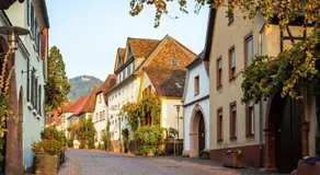 Hotel Rhodter Adler - Image 4