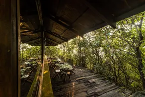Wildernest Nature Resort - Image 4