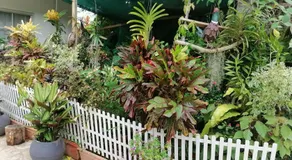 Creole Cottage Homestay - Image 3
