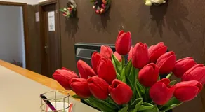Ośrodek Tulipan - Image 5