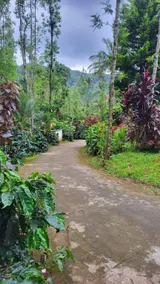 Nature kings Timber leaf Homestay - Image 4