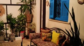 Paradis - Image 4