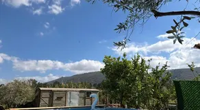 בוסתן החורש - Image 4
