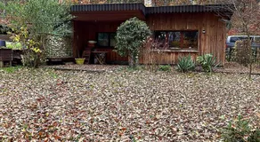Urlaubsoase am Bruchsee - Image 4