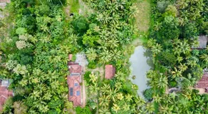 Luminosium Forest Villas & Arrival Sanctuary - Image 2