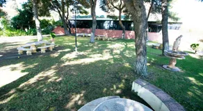 MONKÓ BAOBAB - Image 5