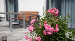 Lohwald-Appartment - Image 3