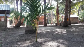 Elephant and Four wise men resort - Image 5