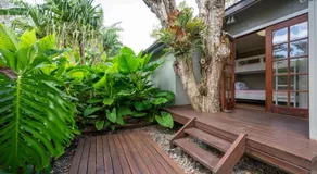 Plantation - Image 4