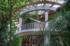 Jungle Addition - Image 3
