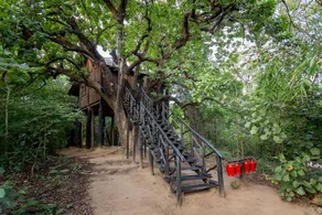 Pugdundee safaris - Tree House Hideaway - Image 5