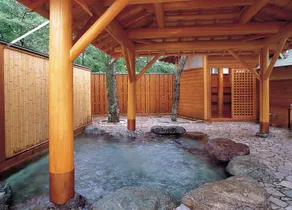 Tateyama Prince Hotel - Image 5
