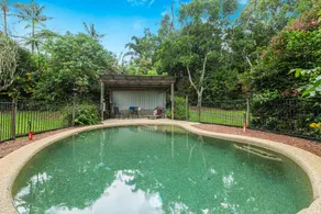 Atherton Blue Gum  - Image 3