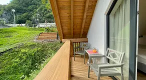 Alpennelke family apartment - Image 5