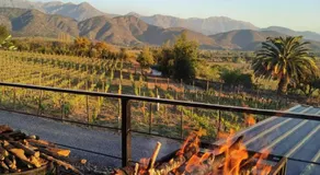 Viña LOF - Maipo Valley Bed & Breakfast in Winery - Image 3