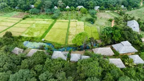 Amuna Ayurveda and Wellness Retreat - Image 5