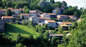 comme dans la paille - Image 5