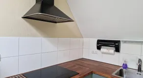 B&B Bosstee - Image 4