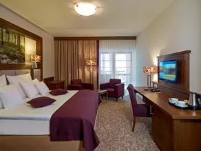Hotel Mercure Krynica Zdrój Resort&Spa - Image 2
