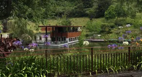 Casa do Til - Image 2