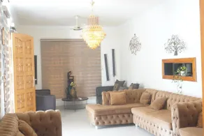 perfect for stay & function - Image 3