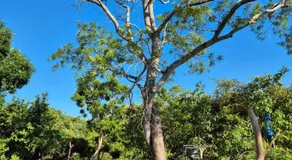 Wildcat hostel Yala - Image 3
