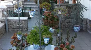 Hotel Cortijo - Image 5
