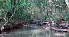Chalé Rio das Pedras - Chalé 03 - Image 2