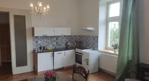 Vila Janáčkova - 1st republic villa - Image 3