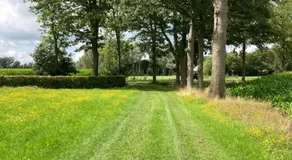 De Barg - Image 5