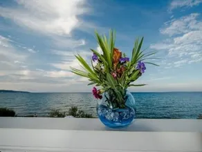 Anemona Beach Hotel - Image 5