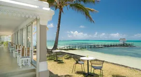 Tropical Attitude (Adults Only) - Image 5