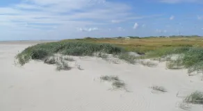 Marschjuwel - Image 2