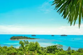 Fresh Bailan Bay - Image 5