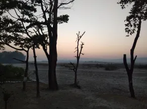 Rajaji Wild Trail Resort BS GROUP - Image 4