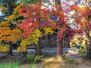 Hotel Green Palace - Image 5