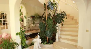 Quinta dos Oliveiras - Image 5