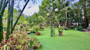 Din Ky Hotel, Cau Ngang, Binh Duong - Image 5