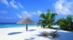 Hotel Magic Tropical - Image 3