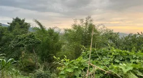 A Déjà vu homestay - Image 3
