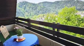 Apartment with panoramic views in the black forest - Image 4
