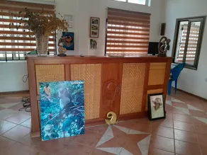 Villa Sankofa - Image 5