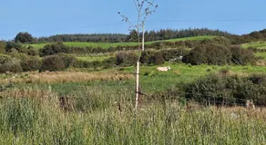Suaimhneas - Image 5