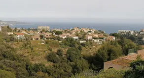 Studio Anoe - Image 4