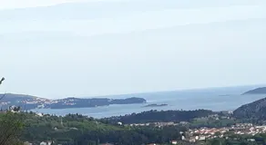 Antea - Image 2