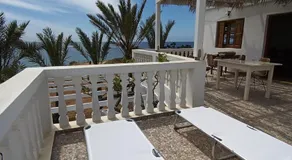 Palmhouses - Image 2