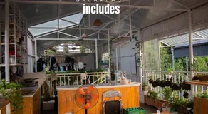 Lazy Cat Homestay - Motorbikes Rental & Tours - Image 5