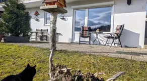 Haus Kiel - Image 4